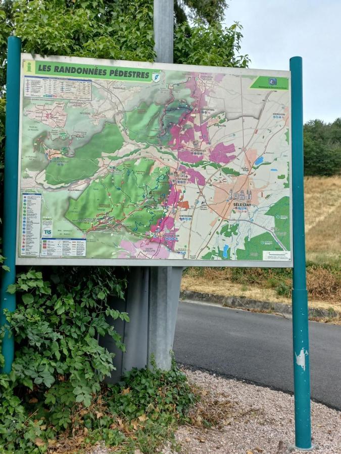 디에펜탈 Gite Au Nid De Cigognes 빌라 외부 사진